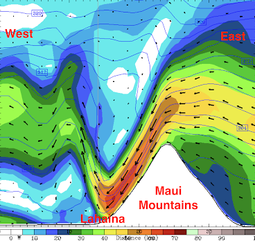 A vertical cross-section of the predicted mountain wave.